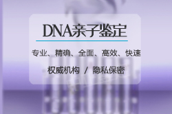 宁夏血缘检测几天出结果，宁夏个人亲子鉴定办理流程