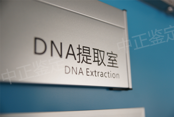 宁夏孕期亲子鉴定如何办理,宁夏怀孕亲子鉴定准确吗