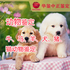 宁夏动物鉴定
