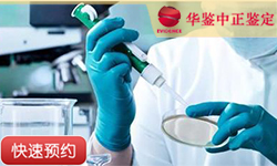 宁夏同一父系亲缘鉴定